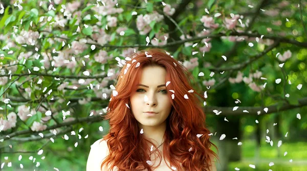 Mladými, krásnými červenými vlasy žena vonící květy v kvetoucí sakura garden — Stock fotografie