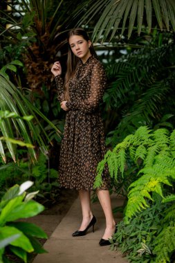 Yoğun tropikal bitkiler, sera havası ve doğa daldırma kavramında duran kadın..