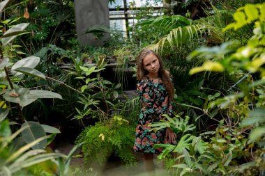 Botanik bahçesindeki yoğun yeşilliklerin arasında bir kadın, sakin bir eko yaşam tarzı ve doğa daldırma havası..