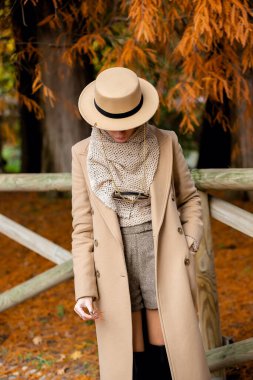 Trençkotlu gezgin kadın trabzanın yanında poz veriyor, Como Gölü sonbahar tatili konsepti..