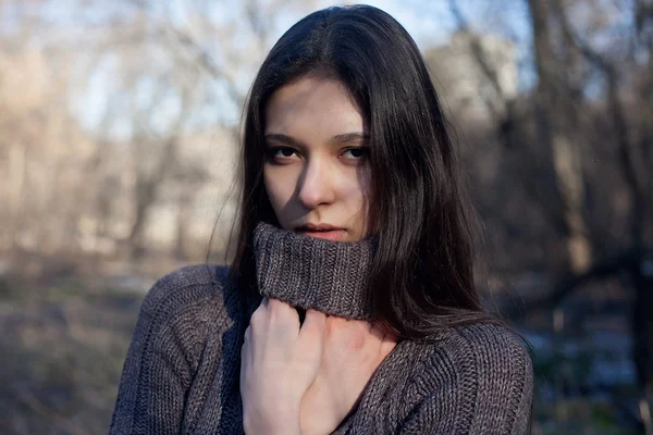 Foto de moda al aire libre joven hermosa dama bosque de abedul — Foto de Stock