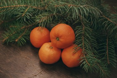 Mandalina ve vintage ahşap zemin üzerine çam dalları