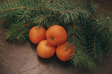 Mandalina ve vintage ahşap zemin üzerine çam dalları