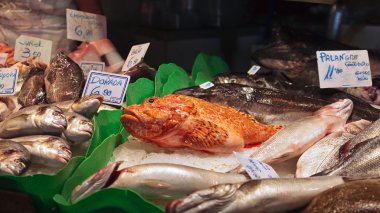 geleneksel Balık pazarı