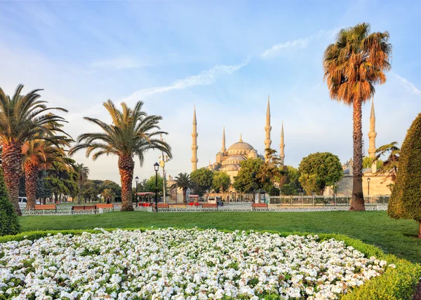 Mavi Cami, İstanbul, Türkiye