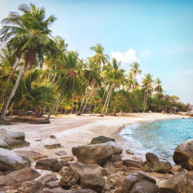 Asya tropik beach paradise Tayland