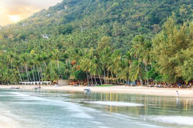 Asya tropik beach paradise