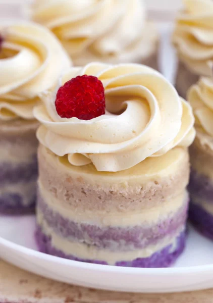 Cup-cakes close-up with raspberry on top — Stock Photo, Image