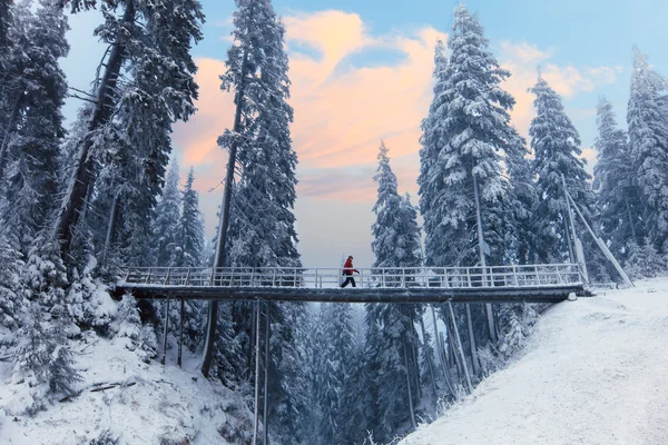 Зимний пейзаж высокой снежной бригады — стоковое фото