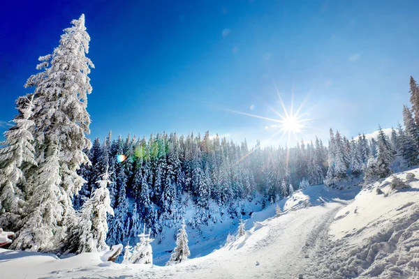 雪山の冬の風景 — ストック写真