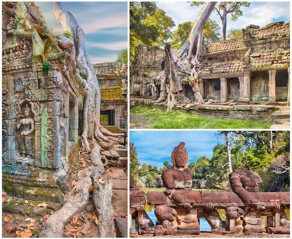 Gamla trädrötter och statyer av Angkor, collage — Stockfoto