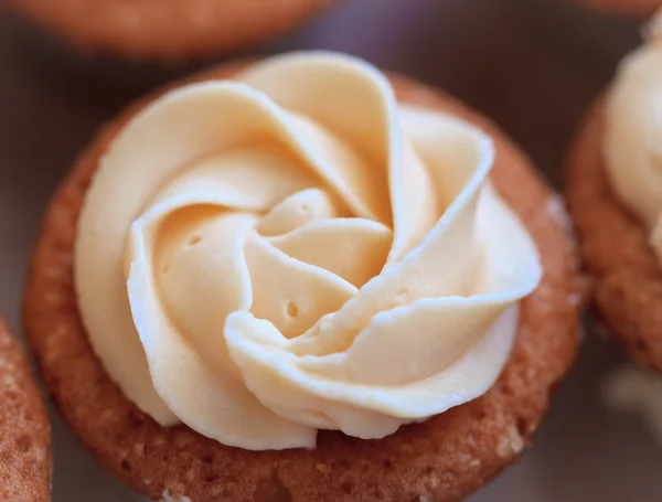 Magenta Cup-cake close-up — Stock Photo, Image