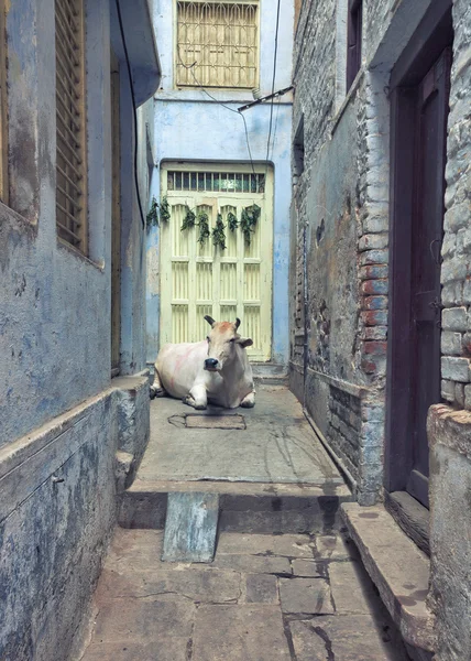 Hellige by Varanasi, Indien - Stock-foto