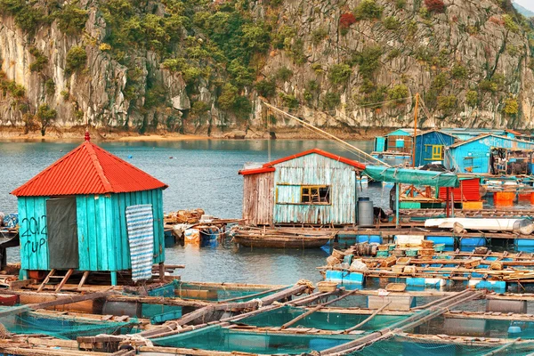 Aziatische zwevende dorp aan Halong Bay — Stockfoto