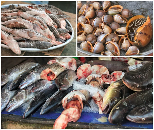 Traditionella asiatiska fisk marknaden collage — Stockfoto