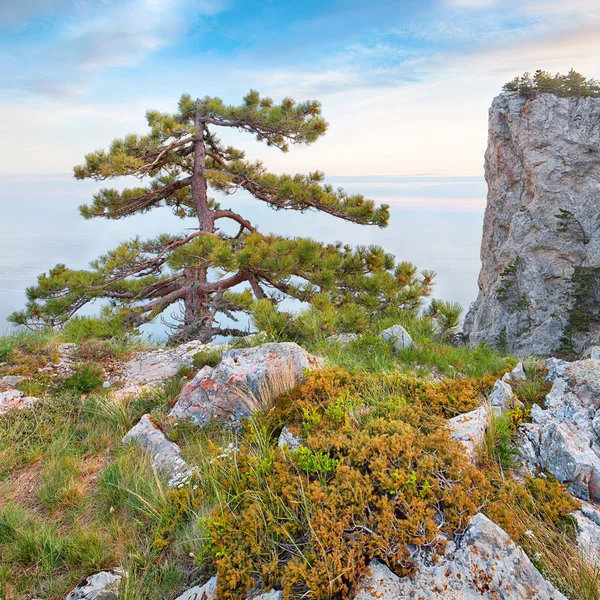 Rocky seascape of Crimea, Ukraine — Stock Photo, Image