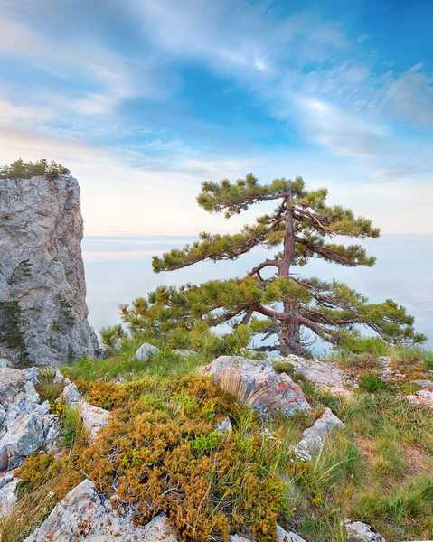 Rocky seascape of Crimea, Ukraine — Stock Photo, Image