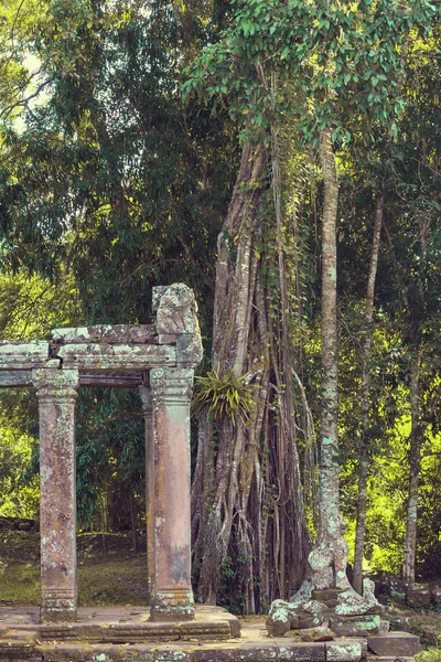 Pozůstatky chrámů Angkor, Kambodža — Stock fotografie