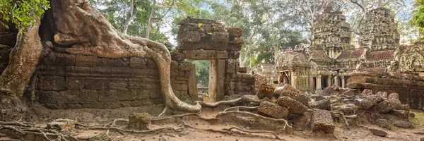 Templo de Ta Prohm raízes de árvores antigas, Angkor — Fotografia de Stock