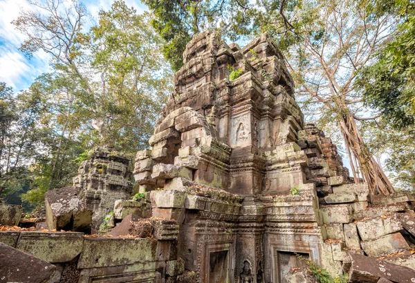 Коріння TA Prohm храм стародавніх дерев, Ангкор — стокове фото