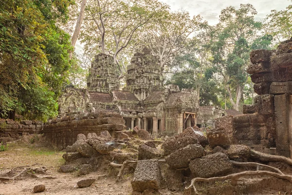 Коріння TA Prohm храм стародавніх дерев, Ангкор — стокове фото