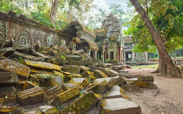 TA Prohm храм стародавніх руїн, Ангкор — стокове фото