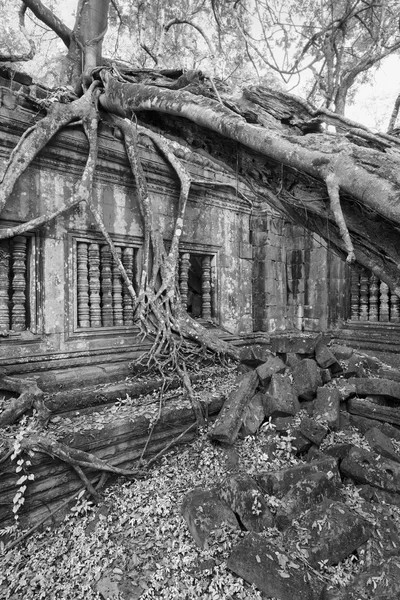 Beng Mealea Temple, Angkor, Cambodia — Stock Photo, Image