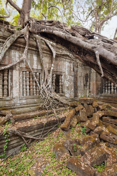 Beng Mealea temppeli, Angkor, Kambodza — kuvapankkivalokuva