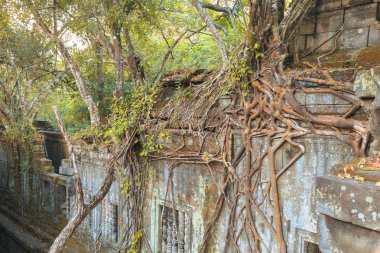BEng mealea Tapınağı, angkor, Kamboçya