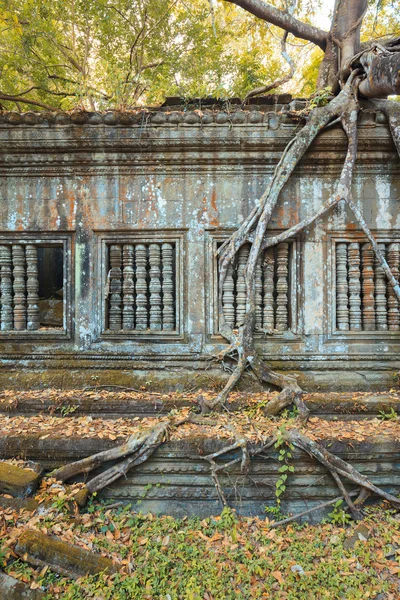 Beng Mealea Temple, Angkor, Cambodia — Stock Photo, Image