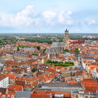 View over Bruges St. Salvators Cathedral