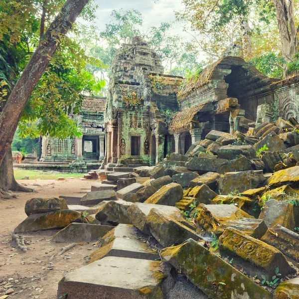 Ta prohm Tempel antike Ruinen, angkor — Stockfoto