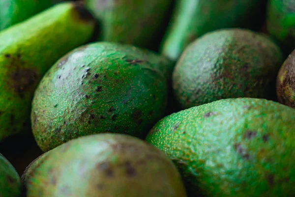 Green ripe avocados. Concept of healthy fruit also useful in cosmetics. Fresh healthy avocado on a table. Stack of avocado in grocery store. Industry of selling products. Spinning. Close up