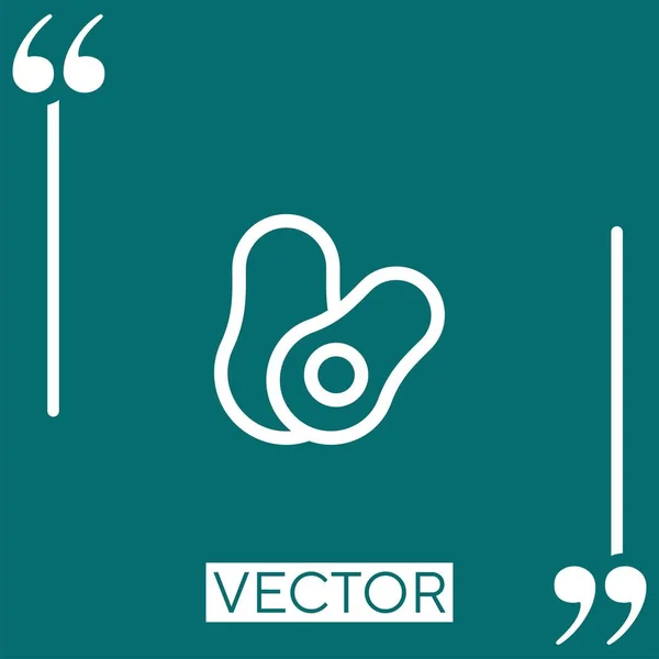 Icono Vector Aguacate Icono Lineal Línea Acariciada Editable — Archivo Imágenes Vectoriales