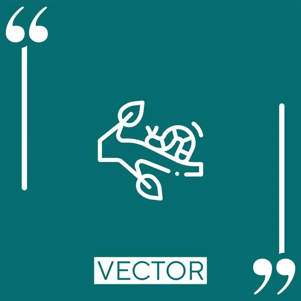 Ícone Vetor Lagarta Ícone Linear Linha Encadeada Editável —  Vetores de Stock