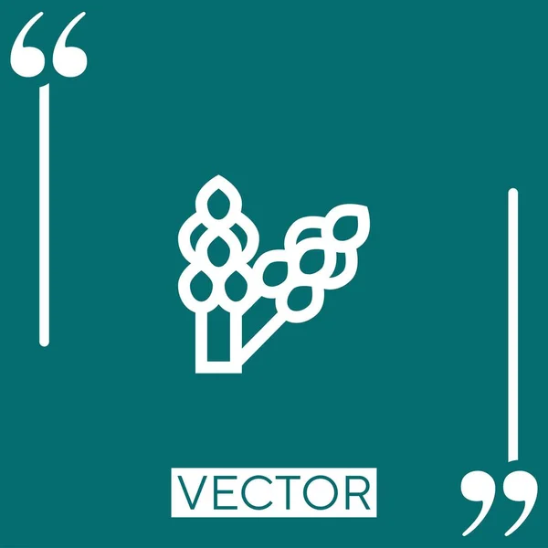 Ícone Vetor Espargos Ícone Linear Linha Encadeada Editável — Vetor de Stock