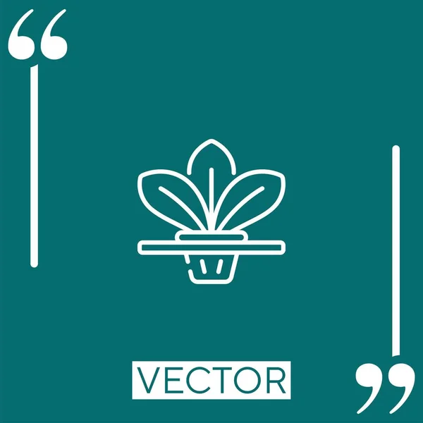 Icono Del Vector Hidropónico Icono Lineal Línea Acariciada Editable — Vector de stock