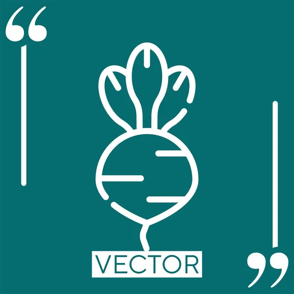 Ícone Vetor Rabanete Ícone Linear Linha Curso Editável — Vetor de Stock