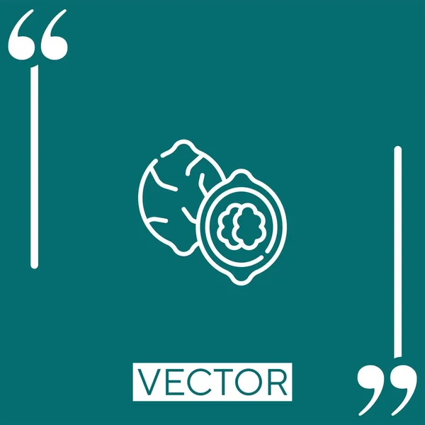 Icono Vector Nuez Icono Lineal Línea Carrera Editable — Vector de stock