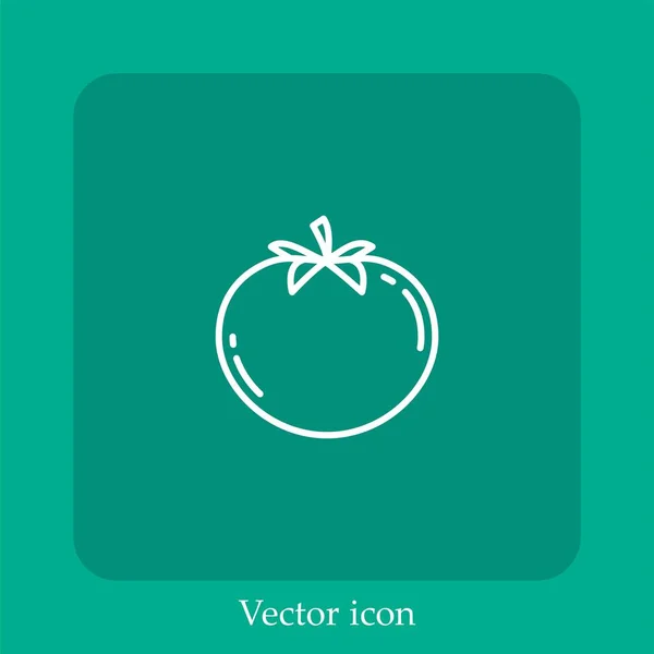 Icono Vector Tomate Icon Line Lineal Con Trazo Editable — Vector de stock
