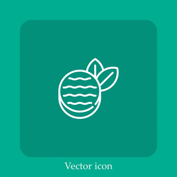 Icône Vectorielle Bonbons Menthe Poivrée Icône Linéaire Ligne Avec Trait — Image vectorielle