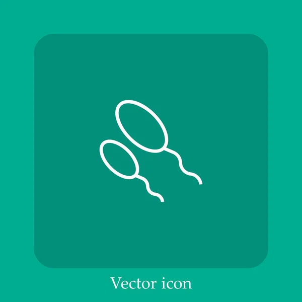 Spermatozoon Vektor Symbol Lineare Icon Line Mit Editierbarem Strich — Stockvektor