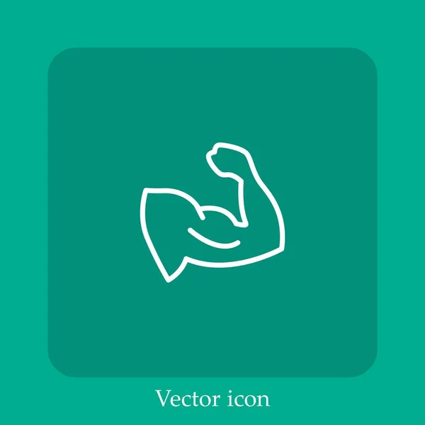 Ícone Vetor Muscular Linear Icon Line Com Curso Editável — Vetor de Stock