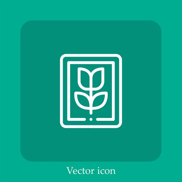 Ícone Vetor Imagem Linear Icon Line Com Curso Editável — Vetor de Stock