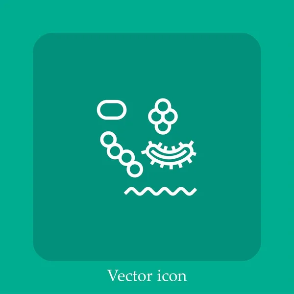 Bakterien Vektor Symbol Lineare Icon Line Mit Editierbarem Strich — Stockvektor