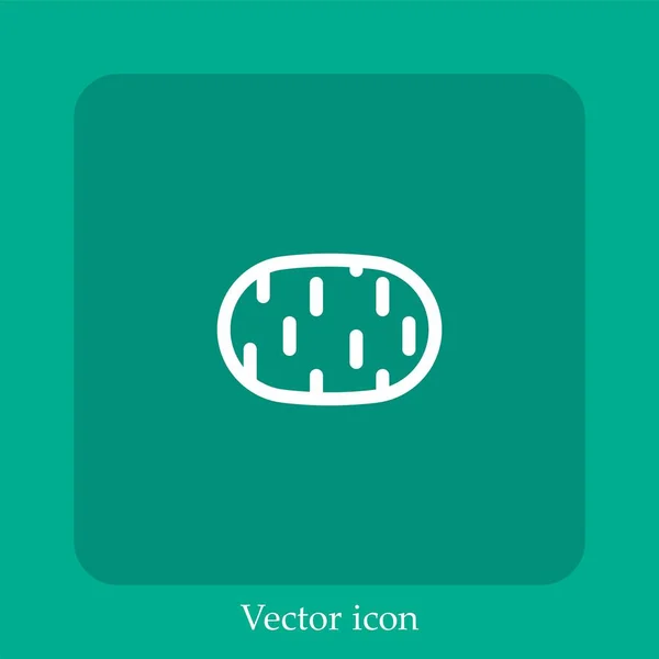 Icono Vector Patata Icon Line Lineal Con Carrera Editable — Vector de stock