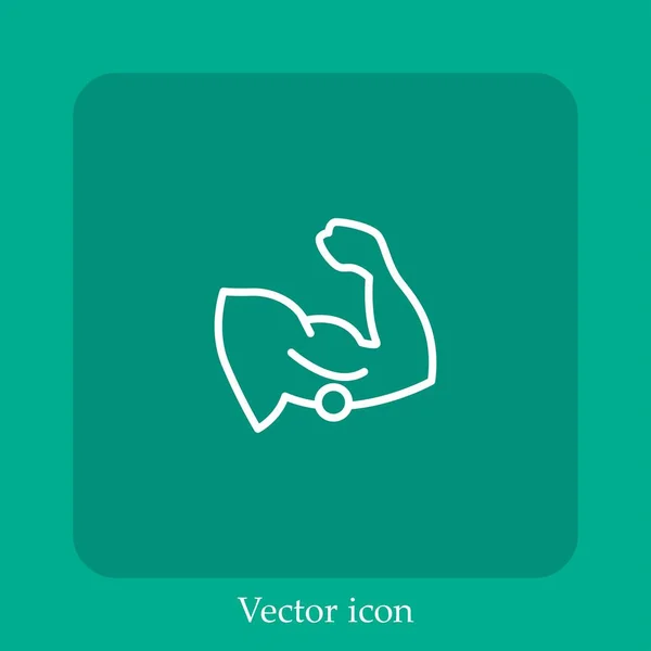 Ícone Vetor Muscular Linear Icon Line Com Curso Editável — Vetor de Stock