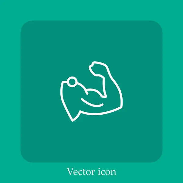 Icono Del Vector Muscular Icon Line Lineal Con Carrera Editable — Vector de stock