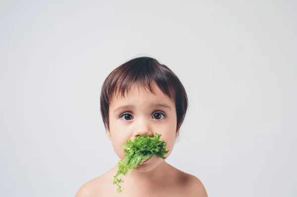 Kid grapeholding close up — Stock Photo, Image