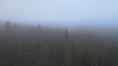 Dağların tepesinde bulutlar arasında uçuyor. Yüksek tepeler, harika sabah güneşi, doğal manzara.